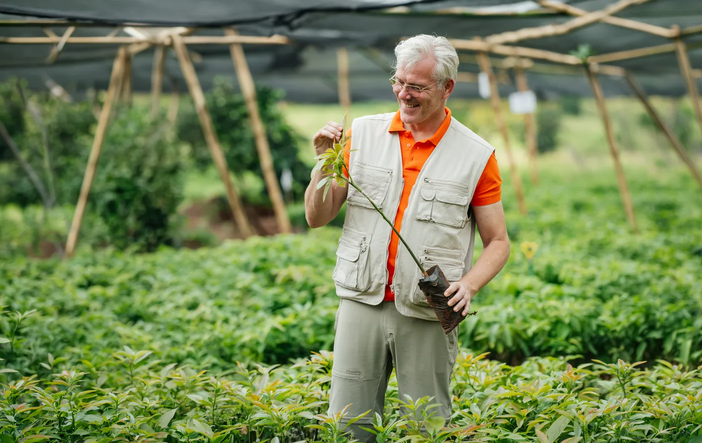 Jonge boompjes in een kwekerij onder schaduwdoek bij een natuurherstelproject